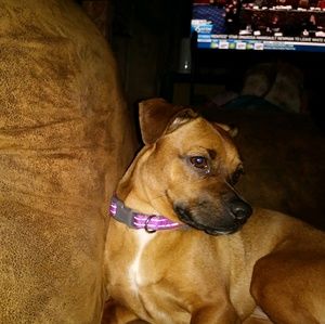 Meet your Posher, Lynn